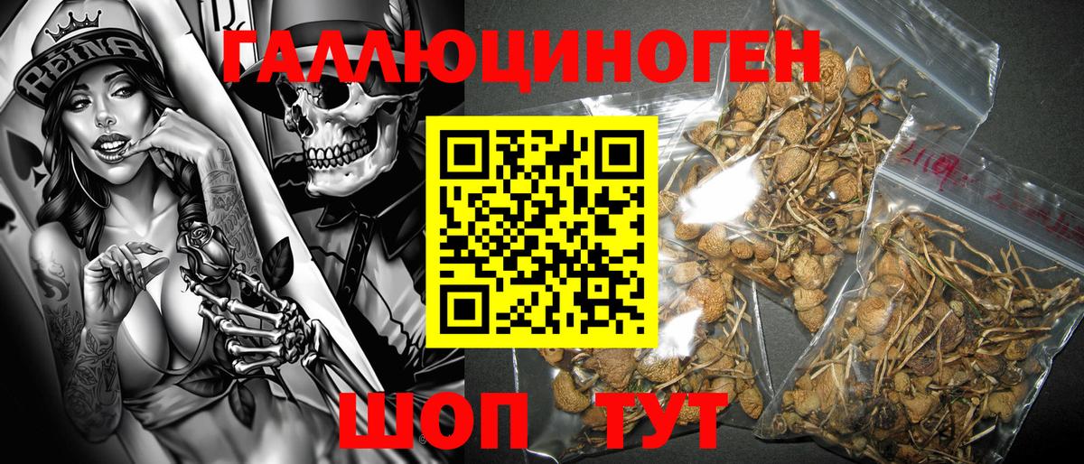 Сухой Лог  Конопля  COCAIN  MDMA  Мефедрон   Вход с VPN  Гашиш 