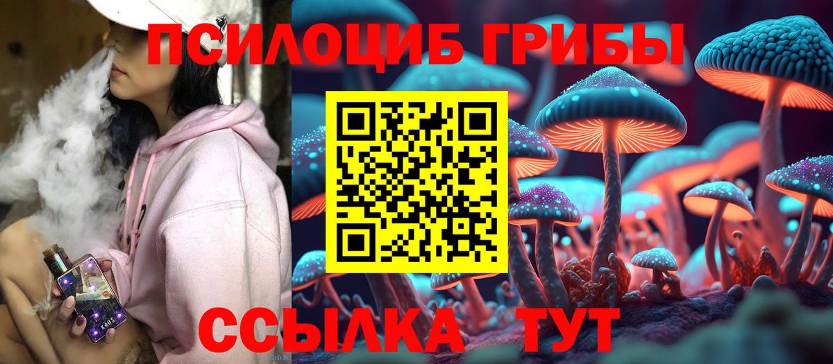 Псилоцибиновые грибы Cubensis Сухой Лог