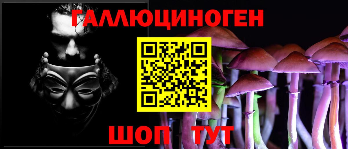 Псилоцибиновые грибы Psilocybine cubensis  Вход с VPN  Сухой Лог 